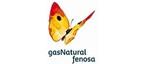 gas_natural