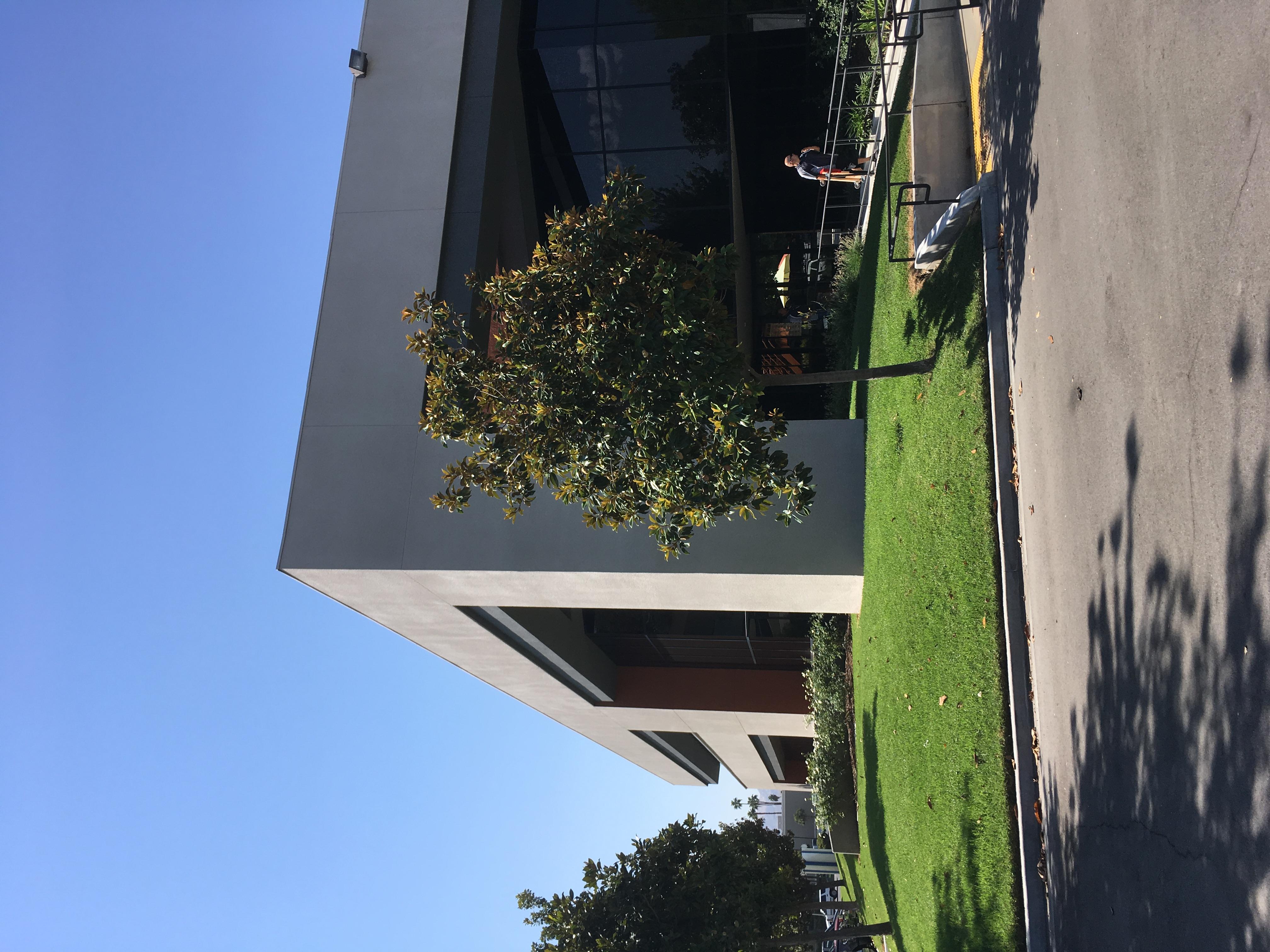 Records Office San Bernardino Countytime Line - 97gp1uw